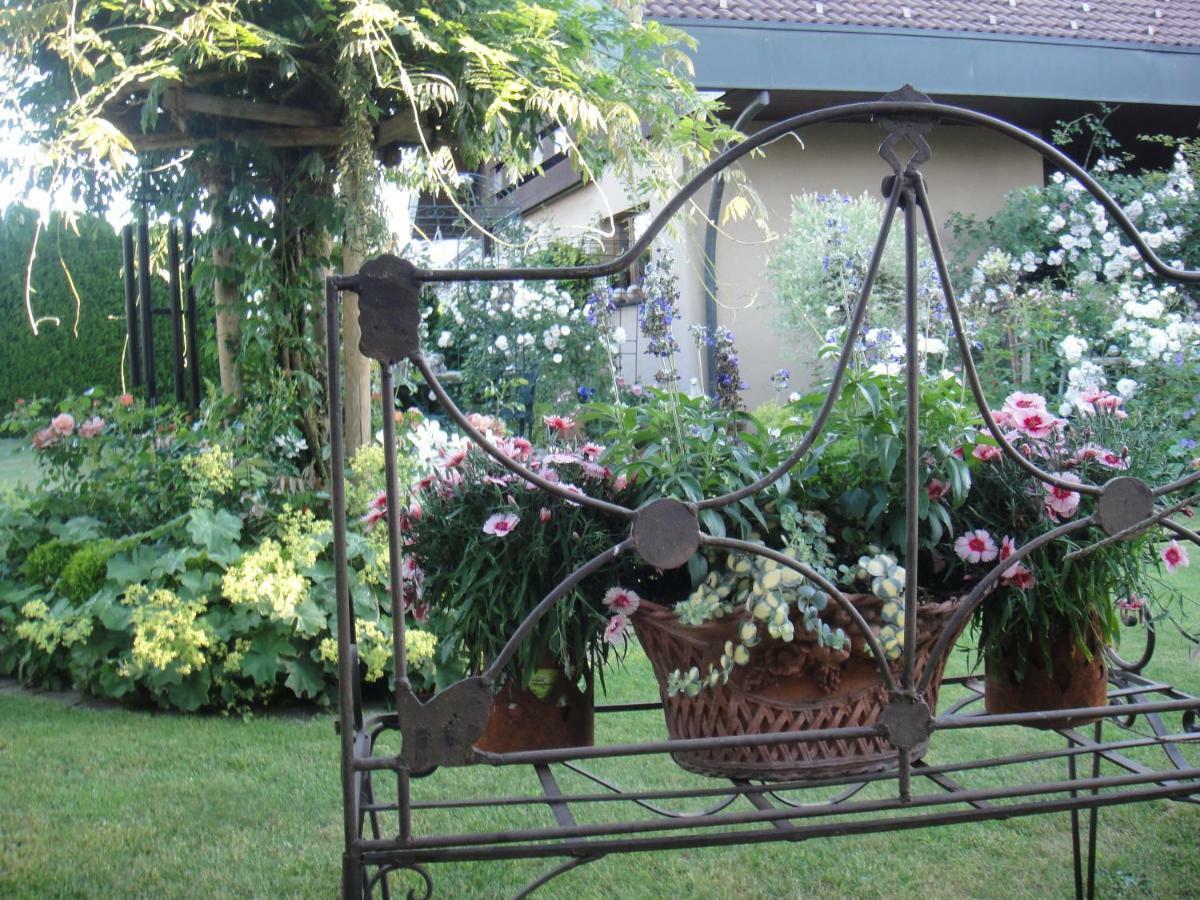 Charming And Cosy Apartment Near Lucerne Romerswil المظهر الخارجي الصورة