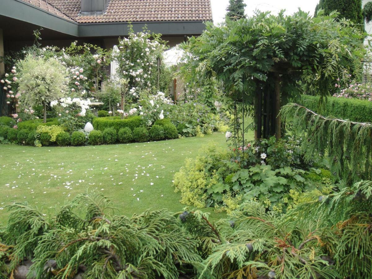 Charming And Cosy Apartment Near Lucerne Romerswil المظهر الخارجي الصورة