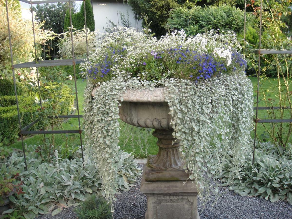 Charming And Cosy Apartment Near Lucerne Romerswil المظهر الخارجي الصورة
